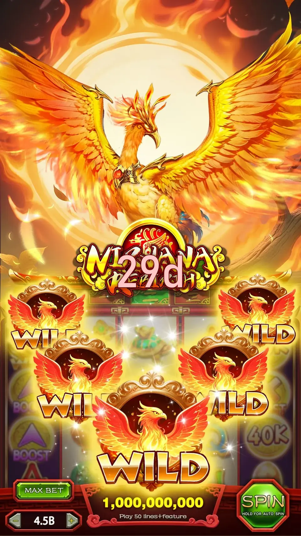 29d Login
